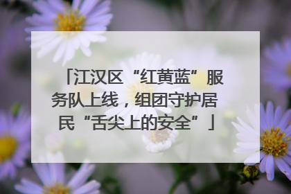 江汉区“红黄蓝”服务队上线，组团守护居民“舌尖上的安全”