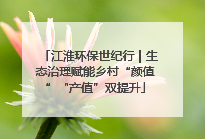 江淮环保世纪行｜生态治理赋能乡村“颜值”“产值”双提升
