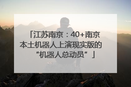 江苏南京：40+南京本土机器人上演现实版的“机器人总动员”