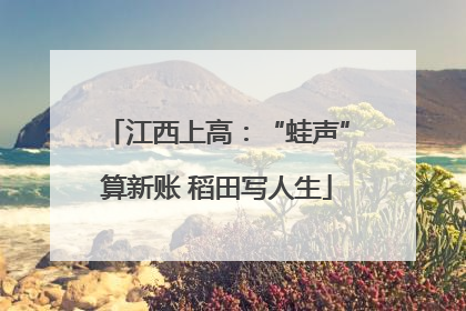 江西上高：“蛙声”算新账 稻田写人生