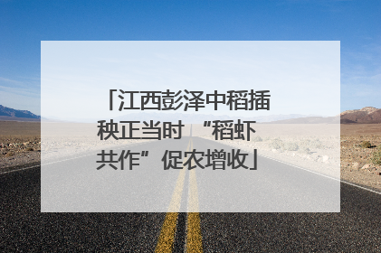 江西彭泽中稻插秧正当时 “稻虾共作”促农增收