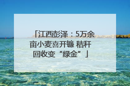 江西彭泽：5万余亩小麦喜开镰 秸秆回收变“绿金”