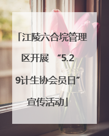 江陵六合垸管理区开展 “5.29计生协会员日”宣传活动