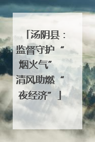 汤阴县：监督守护“烟火气” 清风助燃“夜经济”
