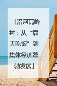 沿河高峰村：从“靠天吃饭”到集体经济蓬勃发展