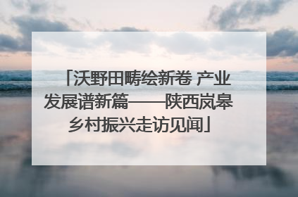 沃野田畴绘新卷 产业发展谱新篇——陕西岚皋乡村振兴走访见闻