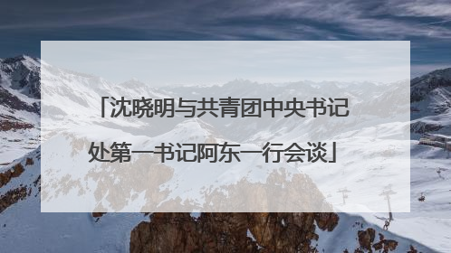 沈晓明与共青团中央书记处第一书记阿东一行会谈