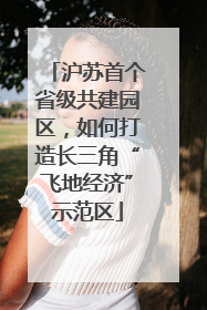 沪苏首个省级共建园区，如何打造长三角“飞地经济”示范区