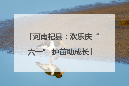 河南杞县：欢乐庆“六一” 护苗助成长