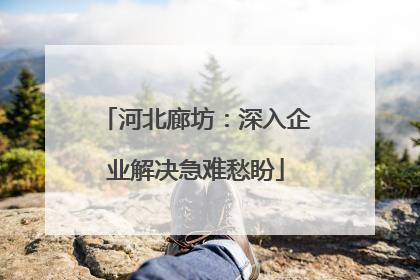 河北廊坊：深入企业解决急难愁盼