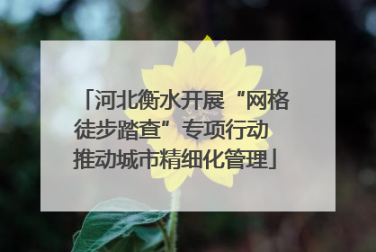 河北衡水开展“网格徒步踏查”专项行动 推动城市精细化管理