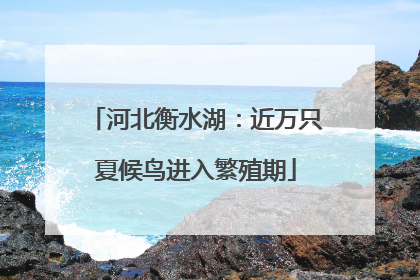 河北衡水湖：近万只夏候鸟进入繁殖期