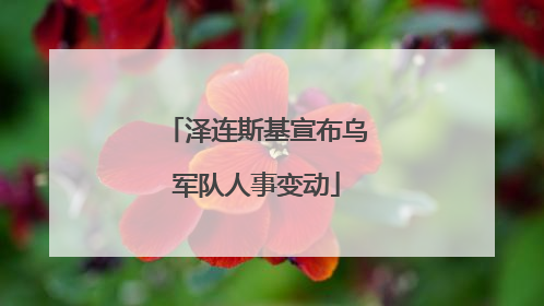 泽连斯基宣布乌军队人事变动