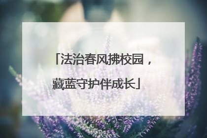 法治春风拂校园，藏蓝守护伴成长