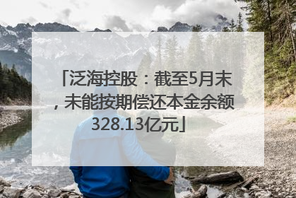 泛海控股：截至5月末，未能按期偿还本金余额328.13亿元