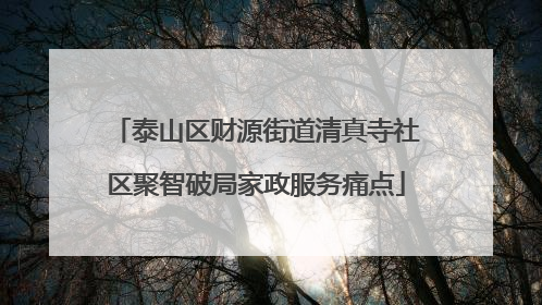 泰山区财源街道清真寺社区聚智破局家政服务痛点