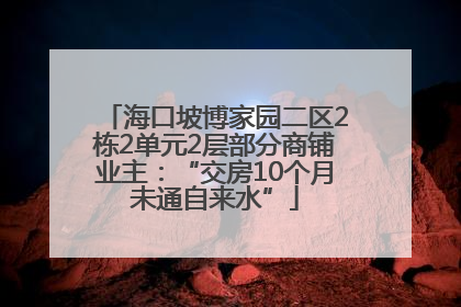 海口坡博家园二区2栋2单元2层部分商铺业主：“交房10个月未通自来水”