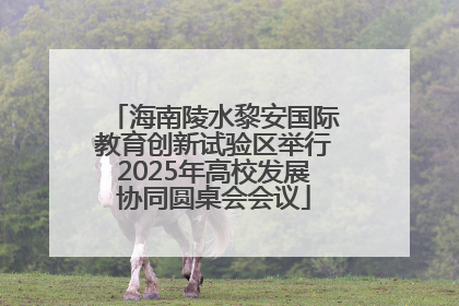 海南陵水黎安国际教育创新试验区举行2025年高校发展协同圆桌会会议