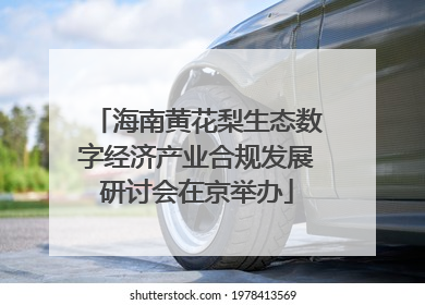 海南黄花梨生态数字经济产业合规发展研讨会在京举办