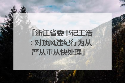 浙江省委书记王浩：对顶风违纪行为从严从重从快处理