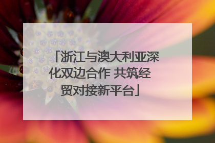 浙江与澳大利亚深化双边合作 共筑经贸对接新平台