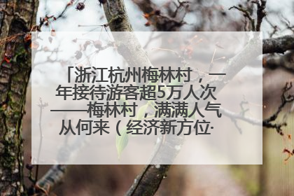 浙江杭州梅林村，一年接待游客超5万人次——梅林村，满满人气从何来（经济新方位·农村消费观察）