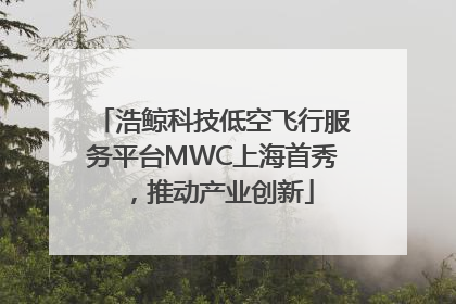 浩鲸科技低空飞行服务平台MWC上海首秀，推动产业创新