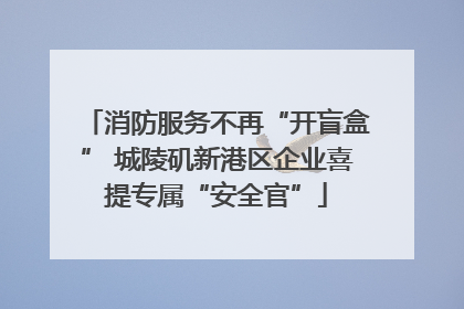 消防服务不再“开盲盒” 城陵矶新港区企业喜提专属“安全官”