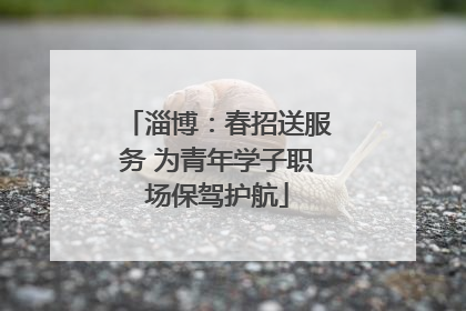 淄博：春招送服务 为青年学子职场保驾护航