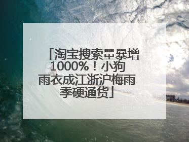 淘宝搜索量暴增1000%！小狗雨衣成江浙沪梅雨季硬通货