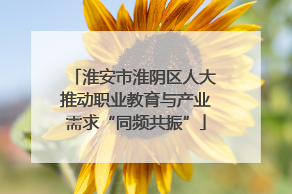 淮安市淮阴区人大推动职业教育与产业需求“同频共振”