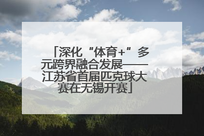 深化“体育+”多元跨界融合发展——江苏省首届匹克球大赛在无锡开赛
