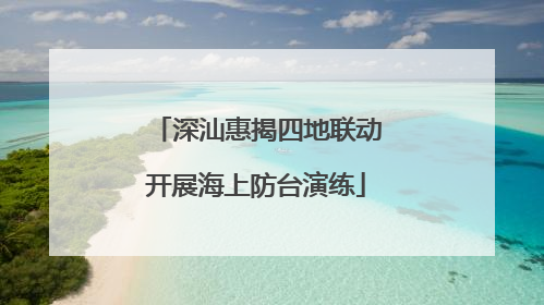 深汕惠揭四地联动开展海上防台演练