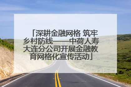 深耕金融网格 筑牢乡村防线——中荷人寿大连分公司开展金融教育网格化宣传活动
