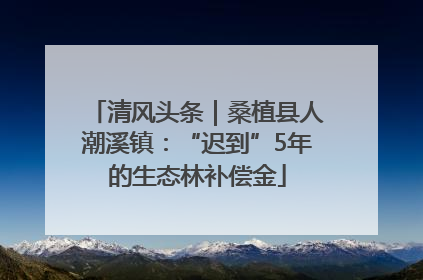 清风头条｜桑植县人潮溪镇：“迟到”5年的生态林补偿金