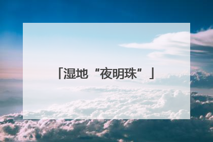 湿地“夜明珠”