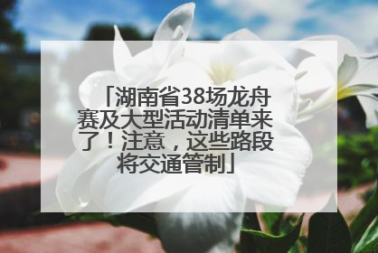 湖南省38场龙舟赛及大型活动清单来了！注意，这些路段将交通管制