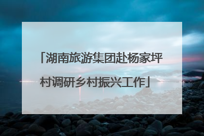 湖南旅游集团赴杨家坪村调研乡村振兴工作