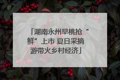 湖南永州早桃抢“鲜”上市 夏日采摘游带火乡村经济