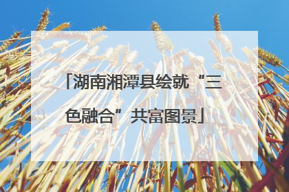 湖南湘潭县绘就“三色融合”共富图景