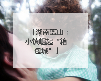 湖南蓝山：小镇崛起“箱包城”