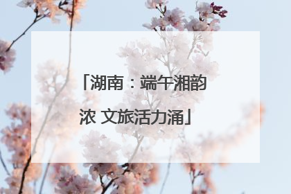 湖南：端午湘韵浓 文旅活力涌