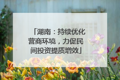 湖南：持续优化营商环境，力促民间投资提质增效