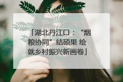 湖北丹江口：“烟粮协同”结硕果 绘就乡村振兴新画卷