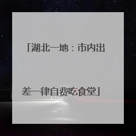 湖北一地：市内出差一律自费吃食堂