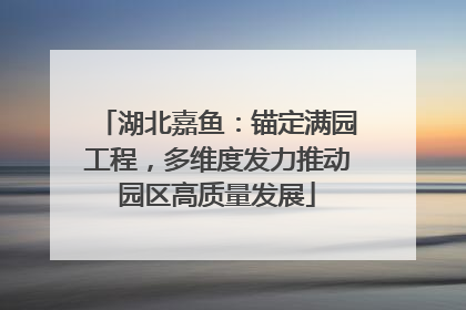 湖北嘉鱼：锚定满园工程，多维度发力推动园区高质量发展