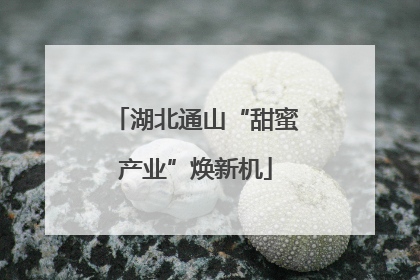 湖北通山“甜蜜产业”焕新机