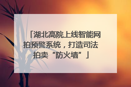 湖北高院上线智能网拍预警系统，打造司法拍卖“防火墙”