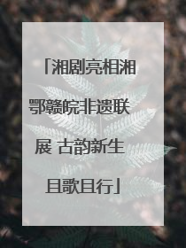 湘剧亮相湘鄂赣皖非遗联展 古韵新生 且歌且行