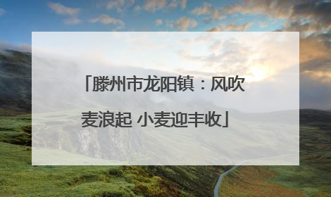 滕州市龙阳镇：风吹麦浪起 小麦迎丰收